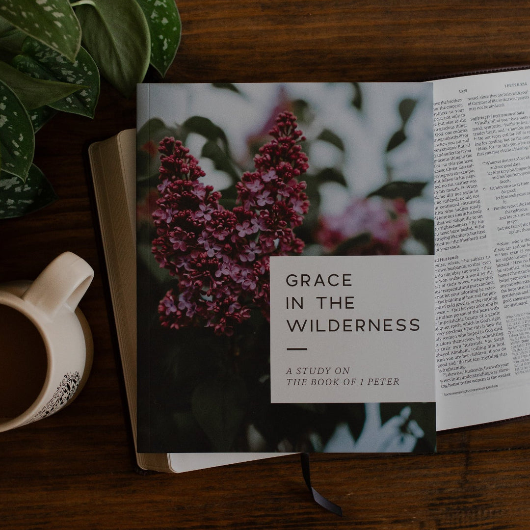 Grace in the Wilderness cover