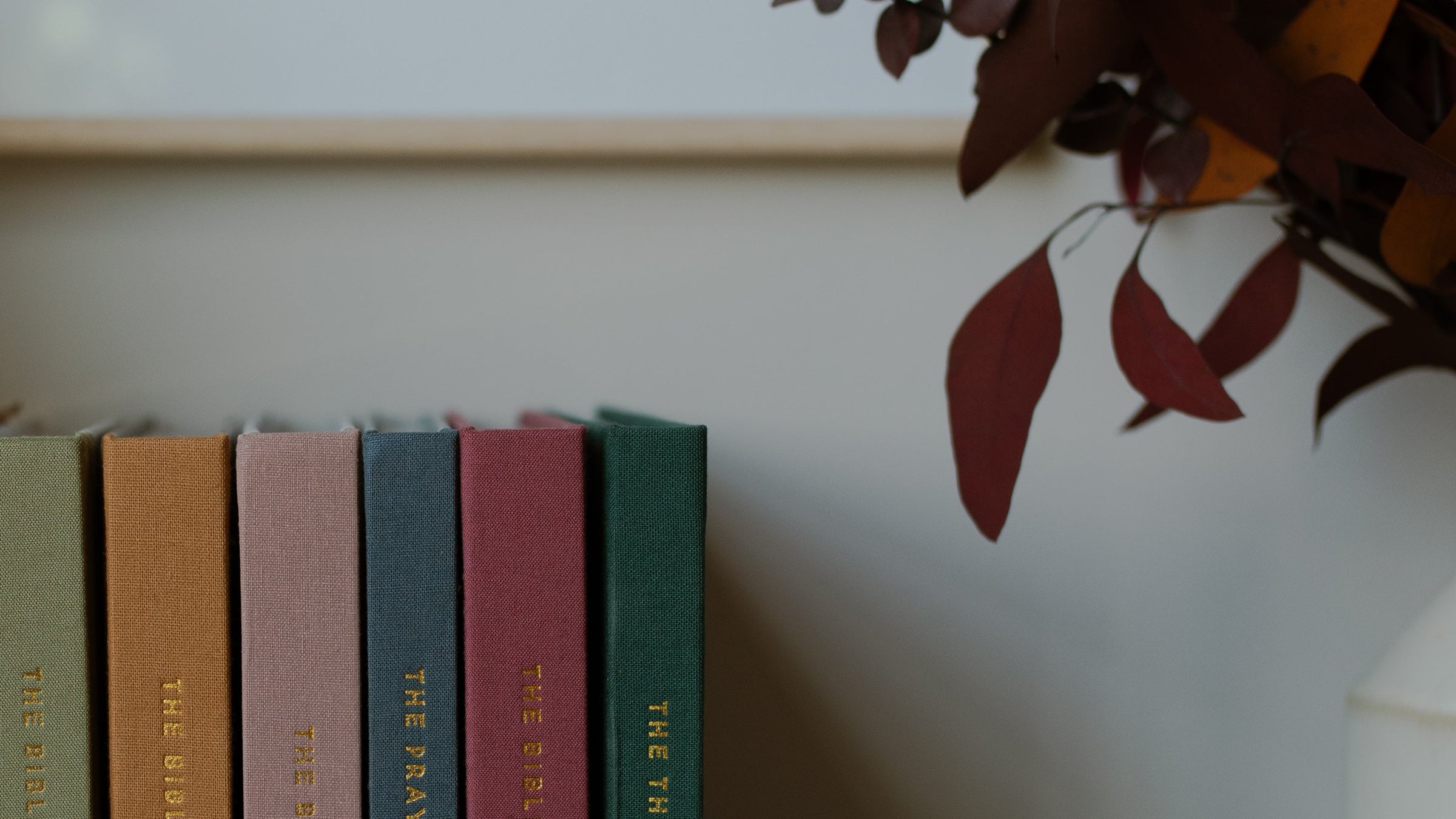 Stack of Bible Reference books on table