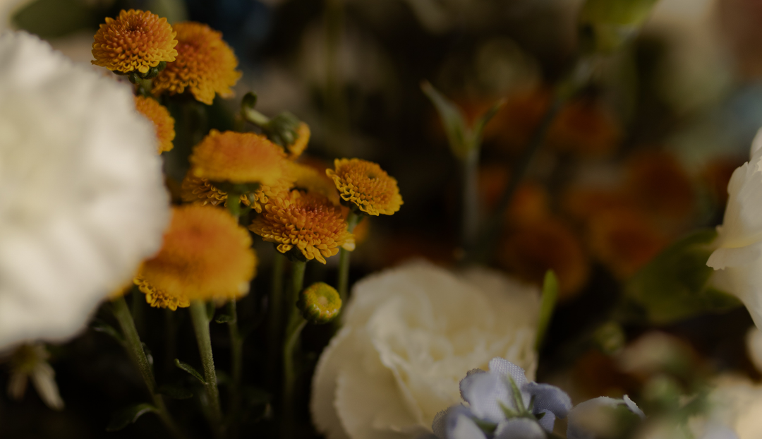 A closeup of yellow and white flowers